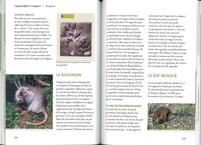 Traces et empreintes d'animaux sauvages