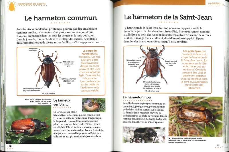 Le petit guide entomo