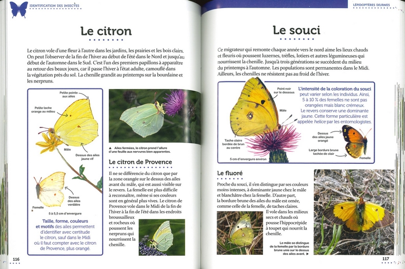 Le petit guide entomo