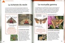 Le petit guide entomo