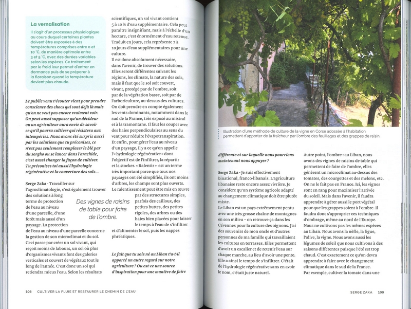 Cultiver la pluie et restaurer le chemin de l'eau