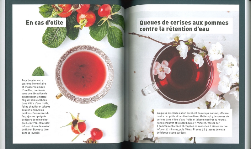 Ma bible des plantes qui soignent - Nelle édition cartonnée