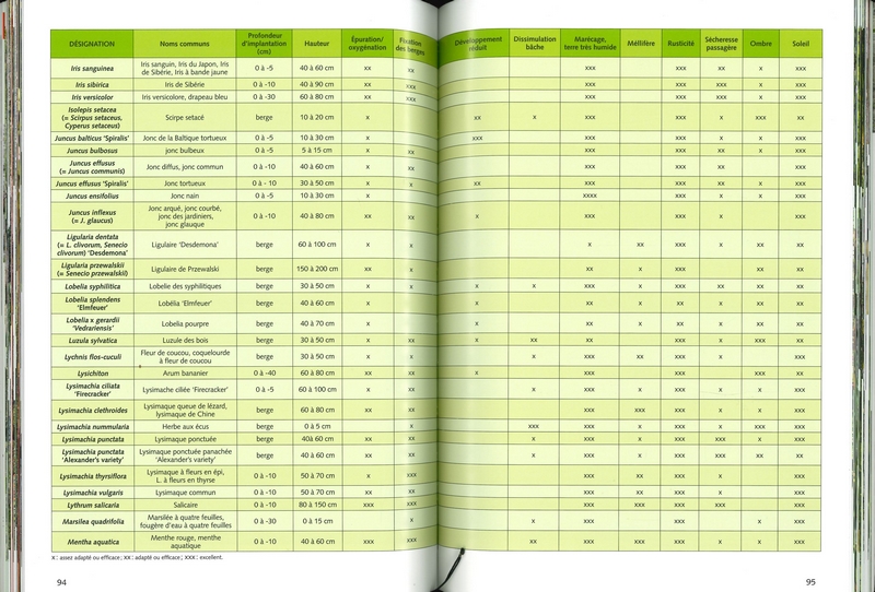 Créer simplement un bassin de jardin