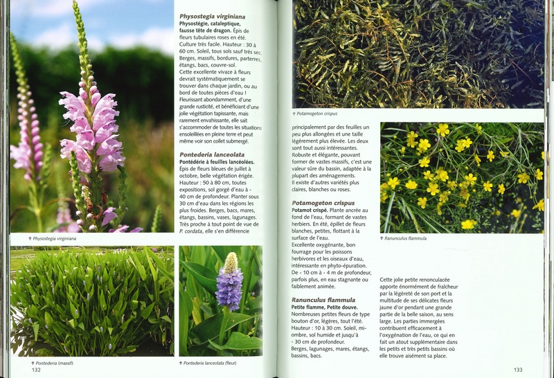 Créer simplement un bassin de jardin