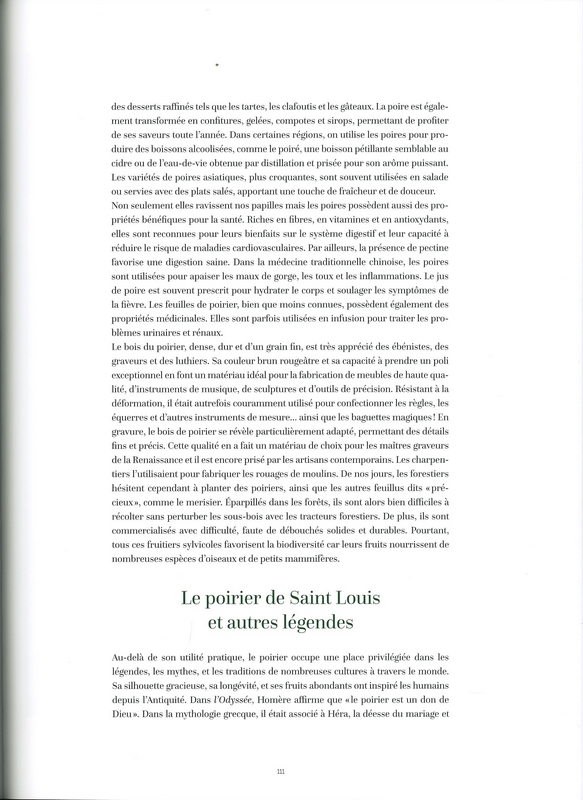 Arbres secrets de géants