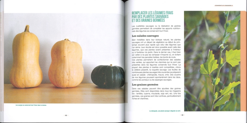 Produire tous ses légumes toute l'année