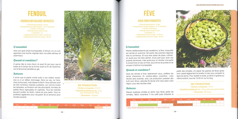 Produire tous ses légumes toute l'année