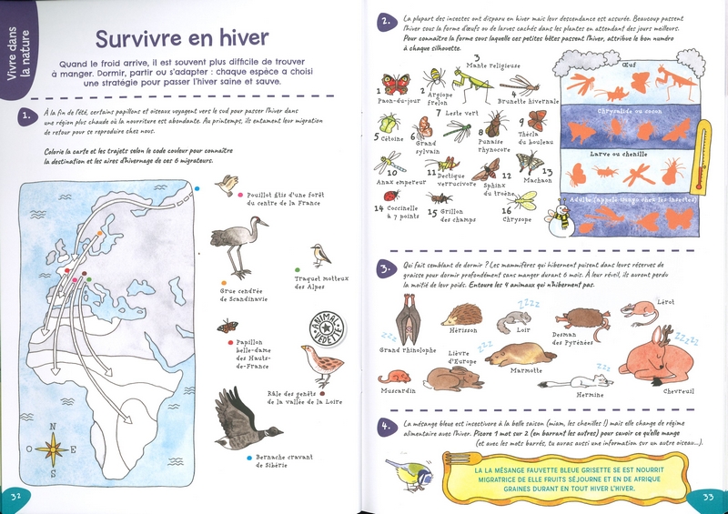 Mon cahier de jeux sur la piste des animaux