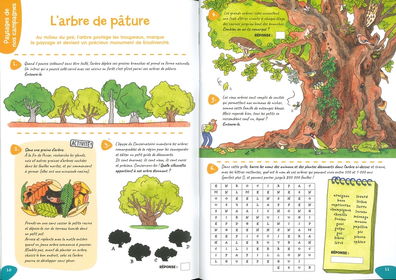 Mon cahier de jeux à la campagne