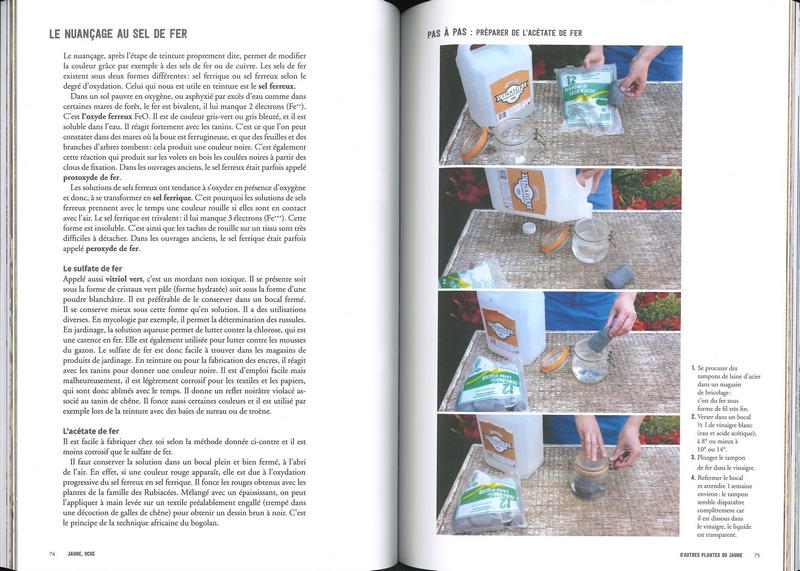 Teindre avec les plantes