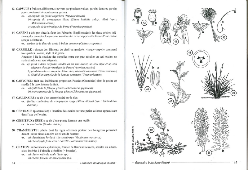 Glossaire botanique illustré
