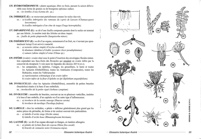 Glossaire botanique illustré