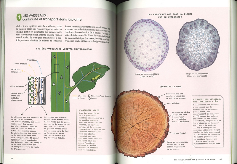 Sensibles par nature