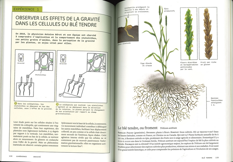Sensibles par nature