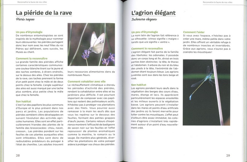 Accueillir la biodiversité en ville