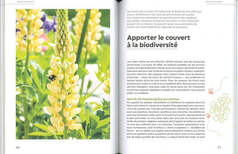 Accueillir la biodiversité en ville