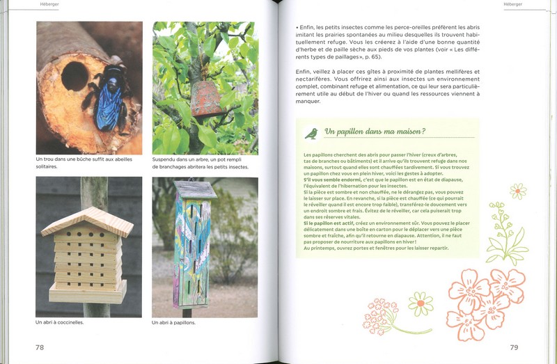 Accueillir la biodiversité en ville