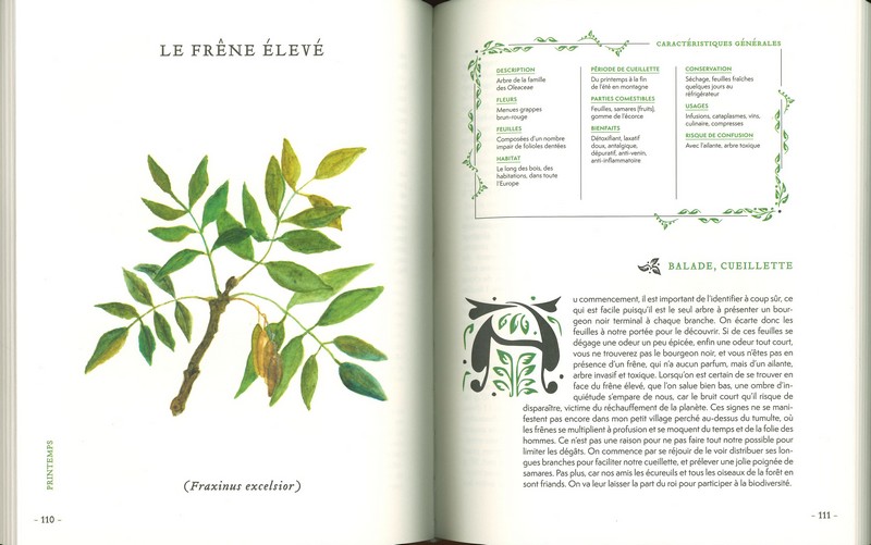 Grimoire d'une cueilleuse