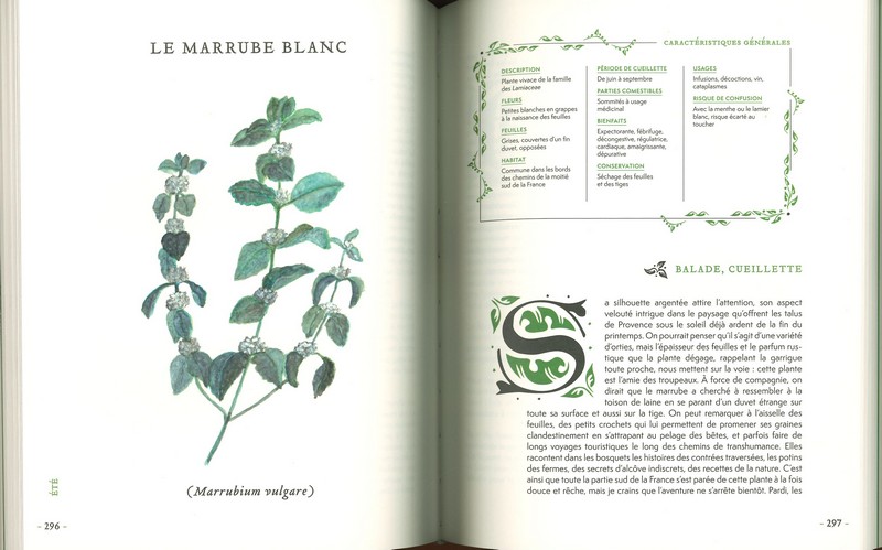 Grimoire d'une cueilleuse