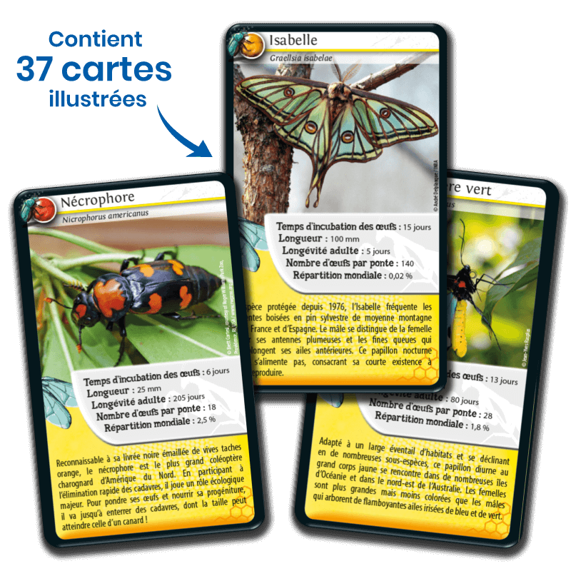 Défis nature - Insectes - jeu de 36 cartes