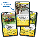 Défis nature - Insectes - jeu de 36 cartes