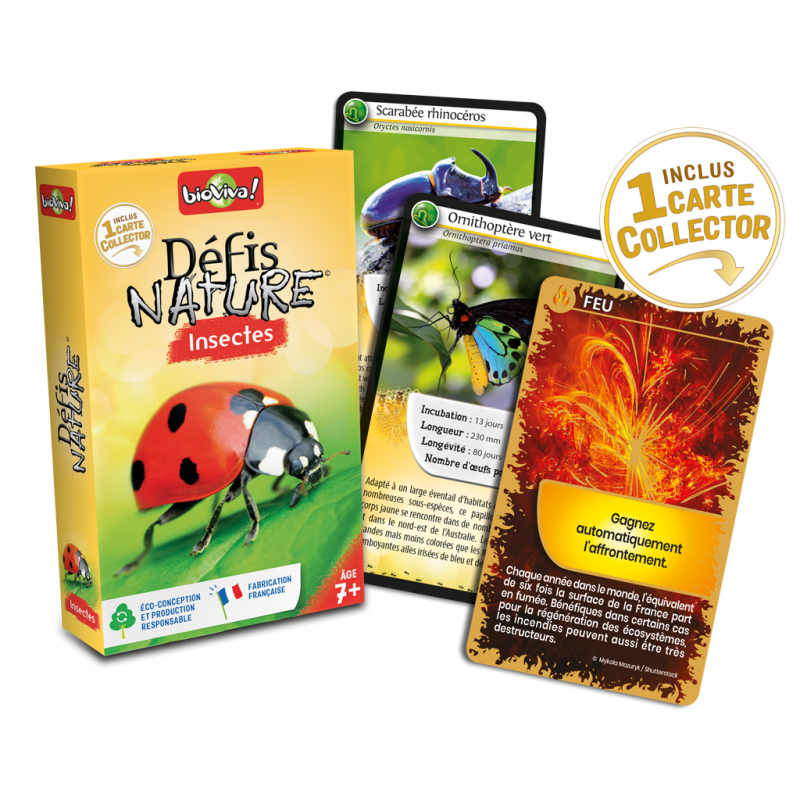 Défis nature - Insectes - jeu de 36 cartes