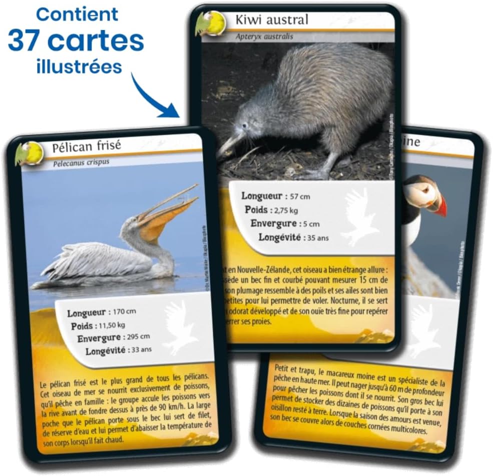 Défis nature - Oiseaux - jeu de 36 cartes