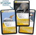 Défis nature - Oiseaux - jeu de 36 cartes