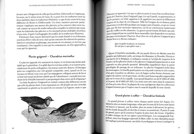 Les noms des oiseaux expliqués par leurs moeurs - T2