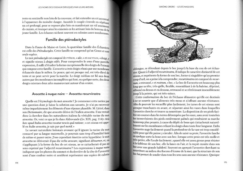 Les noms des oiseaux expliqués par leurs moeurs - T2