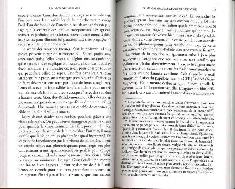 Un monde immense comment les animaux perçoivent le monde