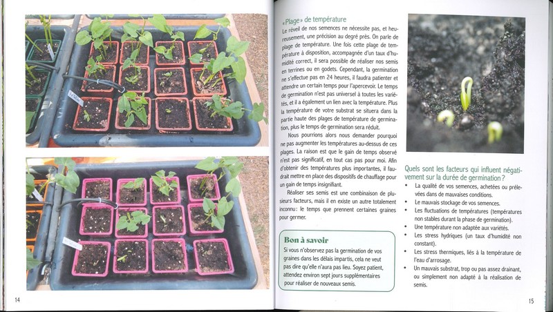 Réussir ses semis à tous les coups!