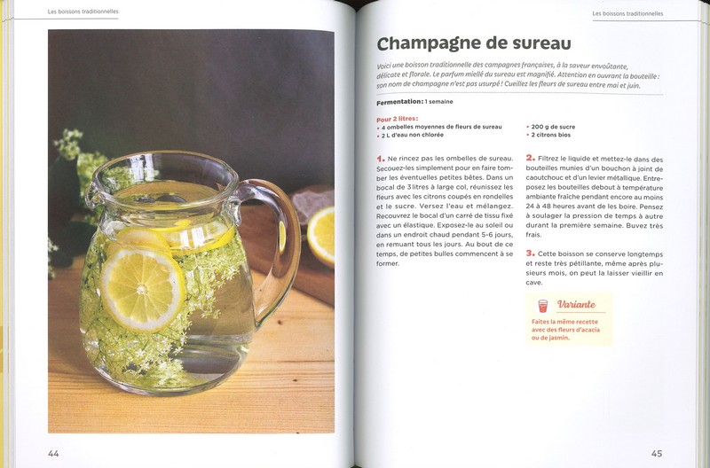 Boissons fermentées naturelles