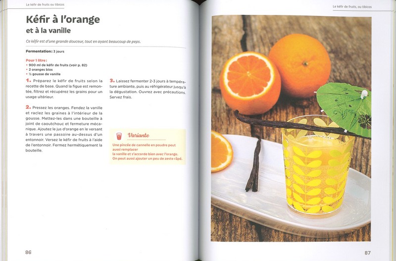 Boissons fermentées naturelles