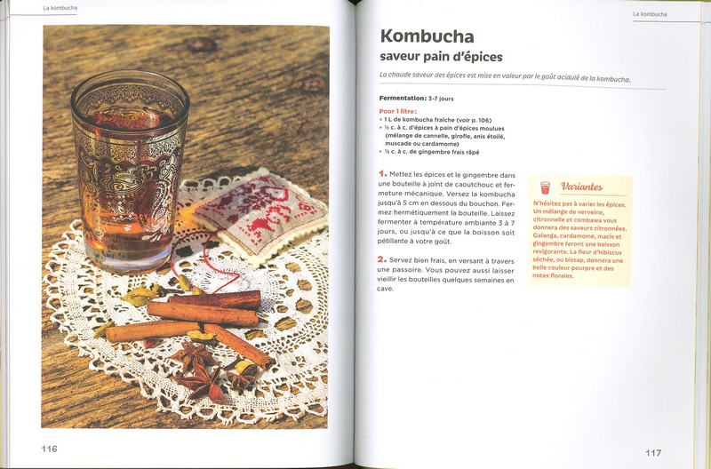 Boissons fermentées naturelles