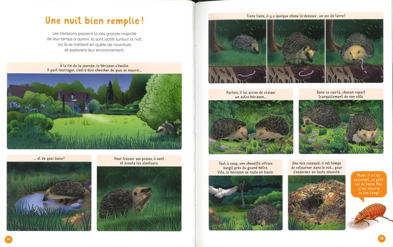 Vis ma vie de hérisson