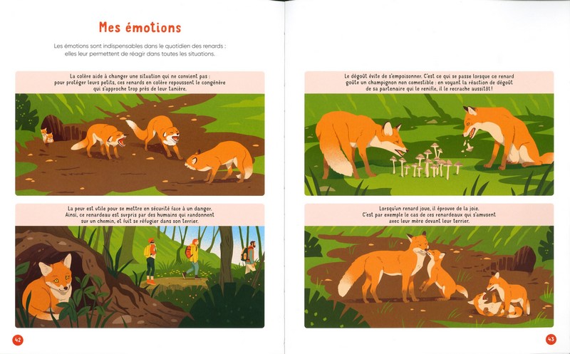 Vis ma vie de renard