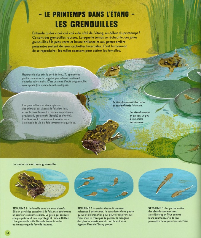 Quatre saisons en pleine nature