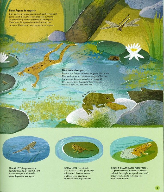 Quatre saisons en pleine nature