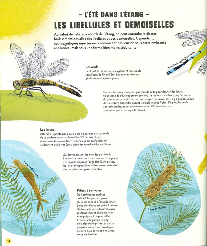 Quatre saisons en pleine nature