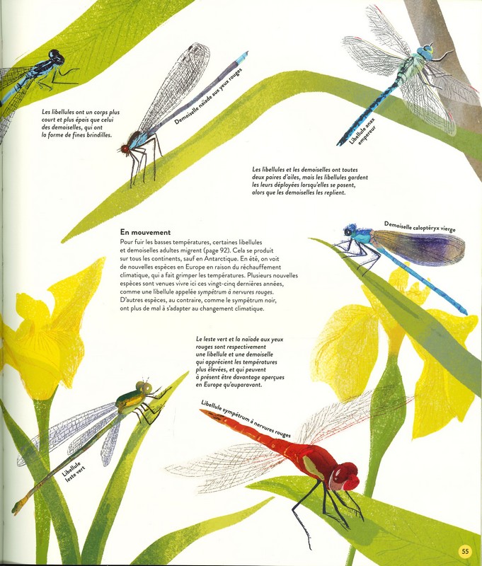 Quatre saisons en pleine nature