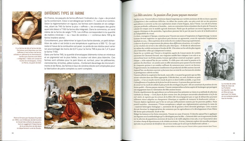 Le pain une croustillante histoire