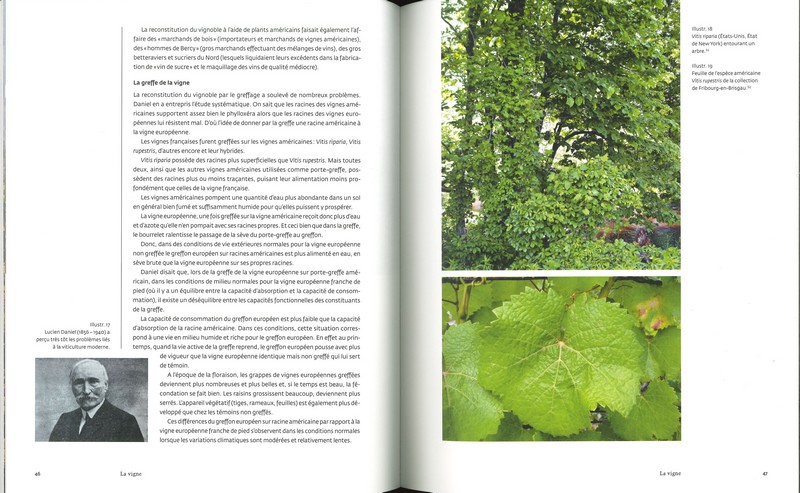 Viticulture biodynamique
