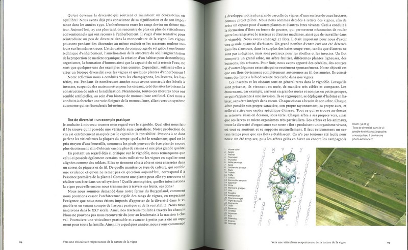 Viticulture biodynamique