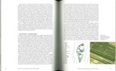Viticulture biodynamique