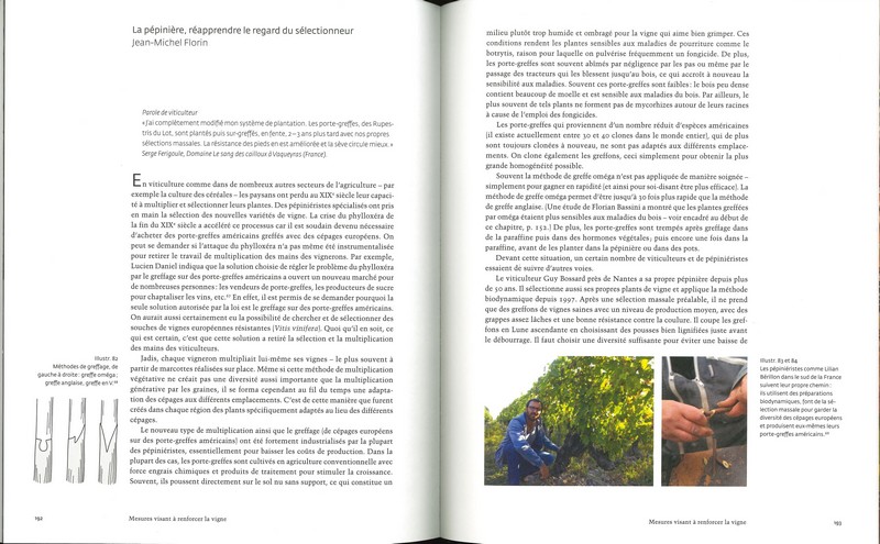Viticulture biodynamique