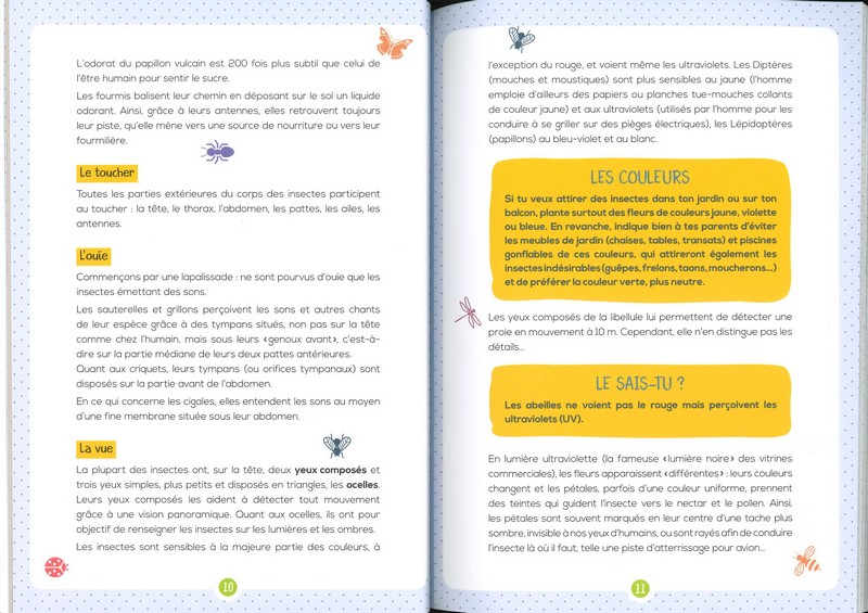 Les insectes mon petit guide nature - Rusti'kids