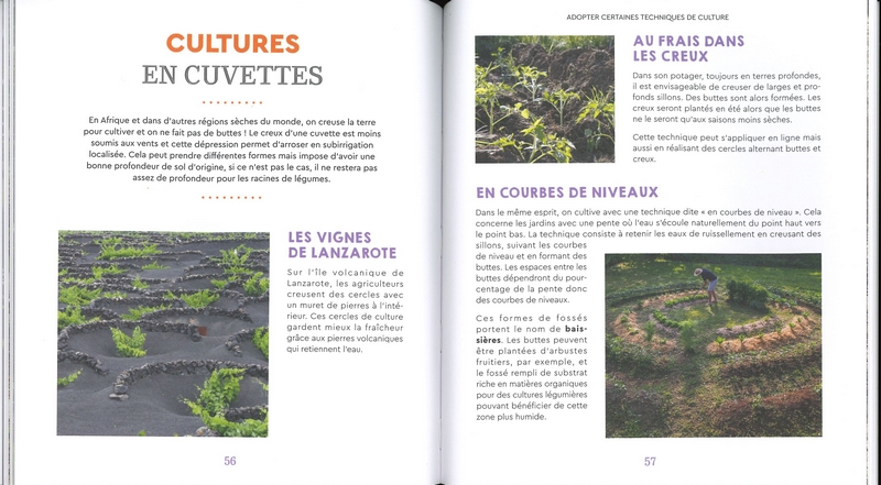 Presque pas d'eau au potager