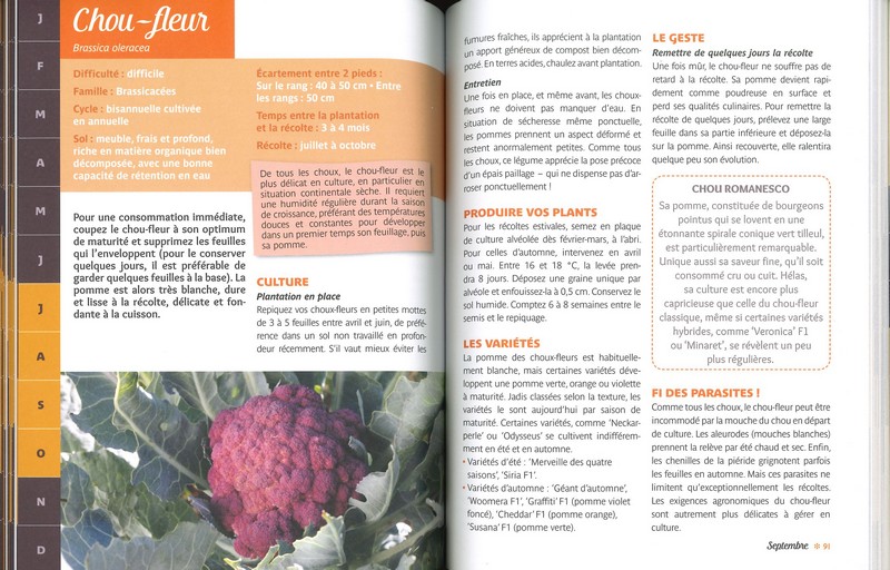 Des légumes toute l’année
