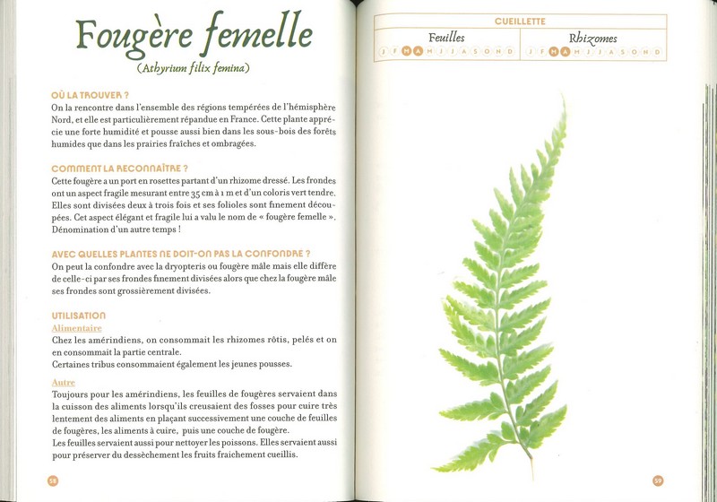 Mémento de la cueillette